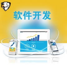 一品威客網軟件外包服務報價與收費解析 專業、透明、高性價比的開發選擇